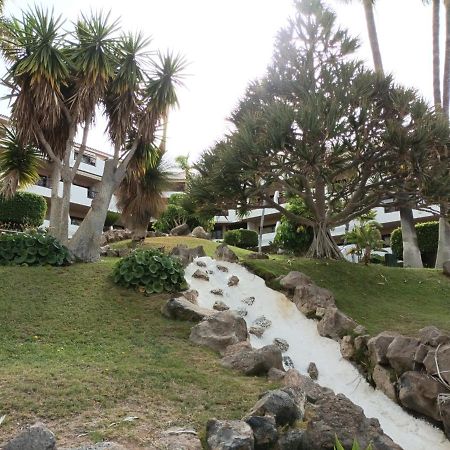 サンミゲル・デ・アボナEstudio En Tenerife Con Piscina / Study Flat With Poolアパートメント エクステリア 写真